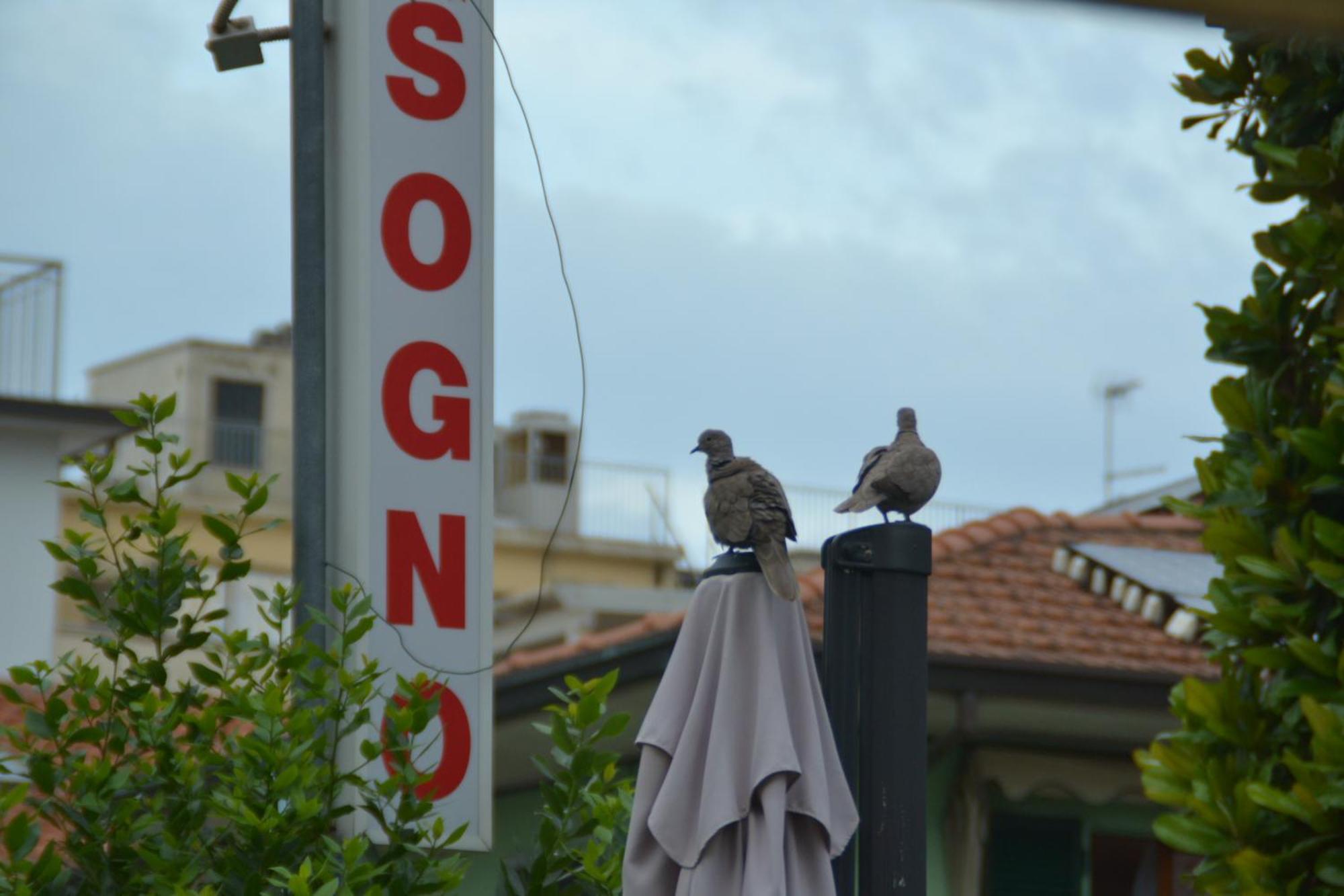 Hotel Bel Sogno Rímini Exterior foto